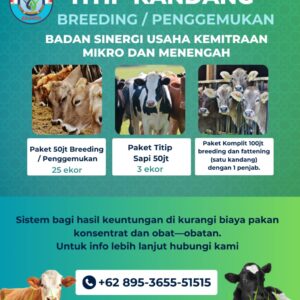 TITIP KANDANG BREEDING / PENGGEMUKAN SAPI