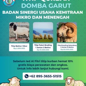 TITIP QURBAN DOMBA GARUT