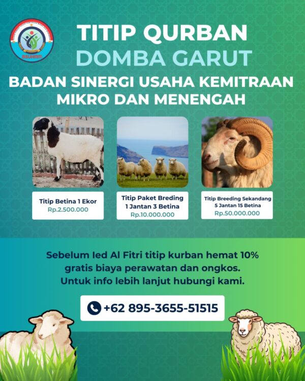TITIP QURBAN DOMBA GARUT