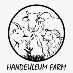 logo handeleum